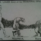 Illustration for article titled Chris Kluwe Received A Hate Cartoon For His Gay Marriage Stance